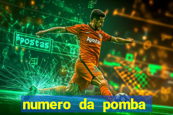 numero da pomba jogo do bicho